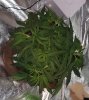 20200728_141810.jpg