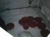 SP_A0090.jpg