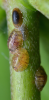 4177137f6ed252b6b00d0960da15f18f.png