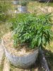 20200703_132356.jpg