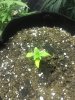 20200802_003329.jpg