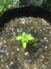 20200802_003332.jpg
