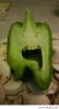 So-I-was-cutting-a-pepper.jpg
