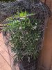 0B7463B5-81EA-4969-9F9A-31640E189AEE.jpeg