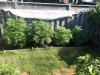 a20200717_090534.jpg