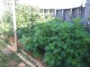 20200726_080953.jpg