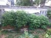 20200804_183042.jpg