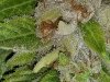 20200805_201239.jpg