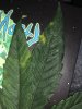 6BBD412C-0F1E-4FEB-8A38-82B041894D23.jpeg
