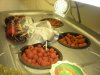 DSCN1191.jpg