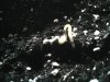 SP_A0099.jpg