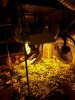 20200809_161334.jpg