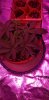 20200809_210449.jpg