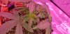 20200809_210503.jpg