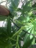3DF76533-EEBF-4117-BACC-43C1AB3CD018.jpeg