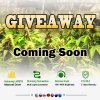 giveaway.jpg