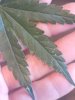 20200814_095513.jpg