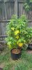20200814_160424.jpg