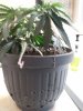 20200815_094347.jpg