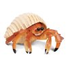 hermit-crab-278468_700x700.jpg