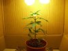 101_0111.jpg