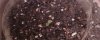 0607091143a_0001.jpg