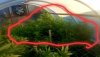 20200820_104238.jpg