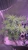 WP_20200821_09_54_44_Pro.jpg