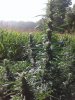 20200824_090710.jpg