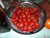 Cherry_Toms_08-20-20.png