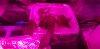 20200825_131504.jpg 20200825_131504.jpg