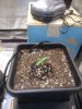 20200827_003453.jpg