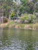 20200827_121756.jpg