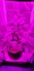 20200828_163606.jpg