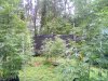 Outdoor Grow August 29 2020 Update (19).jpg