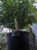 IMG_20200824_201102.jpg