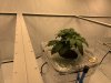 IMG_1278.jpeg IMG_1278.jpeg
