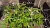 20200904_231728.jpg