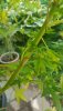 20200903_102438.jpg