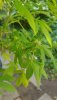 20200903_102441.jpg