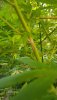 20200903_102501.jpg