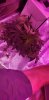 20200906_212838.jpg