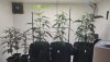 IMG-20200907-WA0004.jpeg