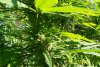 100_3543.JPG