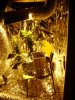 l_24473296.jpg
