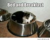 Bed-and-breakfast.jpg