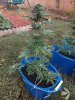 20200913_082135.jpg
