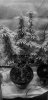20200809_134841.jpg