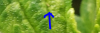 1600033797183.png