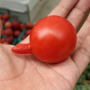 146F1ED5-7B17-45E7-B02F-0118B5B37DF6.png